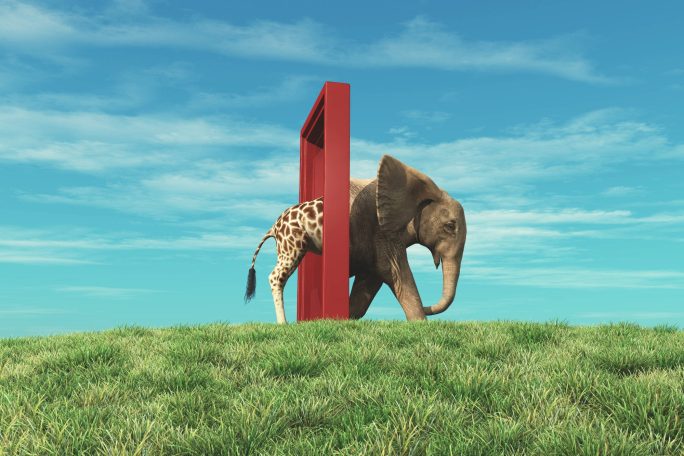 An elephant walks through a large red number one on green grass under a blue sky.